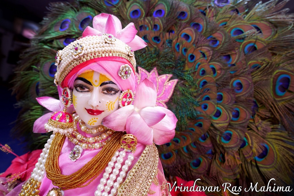 Hith Harivansh Mahaprabhu 3
